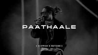 PAATHAALE | පාතාලේ [slowed x reverb] By Hustler Bhai ft. Vinthy × MinnyMe | Manee Vibez