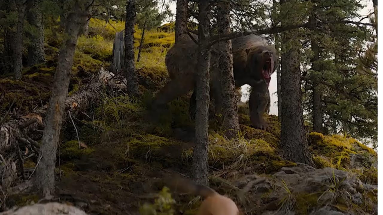 Bear Attack Scene Predator (2022) YouTube