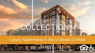 Collection 14 | Washington DC Apartments | Greystar