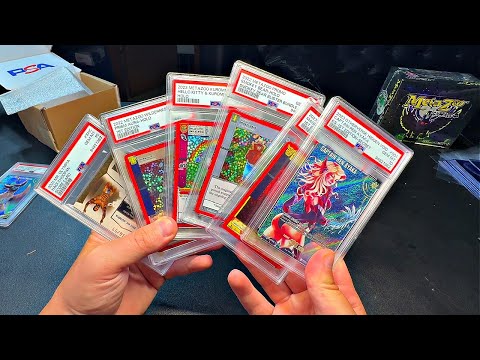 Not My Typical Metazoo PSA Return August 2024