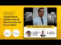 Diagnóstico diferencial de obstrucción de la vía biliar. Dr. Florencio González.