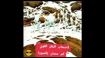 لو عرفت كم عدد الخيول فانت عبقري مااجمل صوت القران الكريم