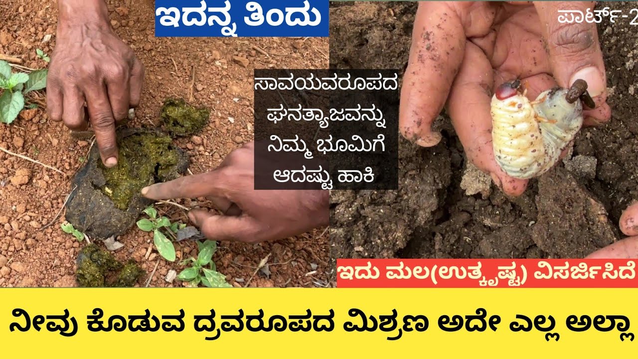 ನಮ್ಮ ತೋಟಕ್ಕೆ ಬರಿ ಜೀವಾಮೃತ ಗೋಕೃಪಮೃತ ಕೊಟ್ಟರೆ ಸಾಕೇ... ಭೂಮಿಯಲ್ಲಿ ಜೀವಿಸುತ್ತಿರುವ ಜೀವಿಗಳಿಗೆ ಆಹಾರ ಕೊಡಬೇಕು