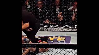 The Notorious Conor McGregor