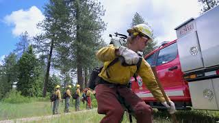 Avista Wildfire AI Cameras