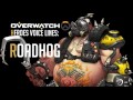 Overwatch - Roadhog All Voice Lines