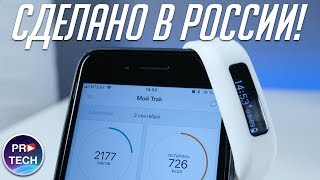 видео Дисплей iPhone 7 оказался 