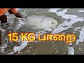 💥பதினைந்து கிலோ பாறை மீன் கரையோரத்தில் பிடிபட்டது | GT Fish | Fishing Video | #fishing