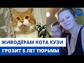 ЖИВОДЁРАМ КОТА КУЗИ ИЗ СЕВЕРОДВИНСКА ГРОЗИТ 5 ЛЕТ ТЮРЬМЫ