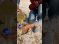 Sirvival jungle video😱#survival #experiment #viralvideo #shorts