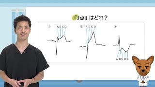 Dr 増井の心電図ハンティング 第1回「心電図のグレーゾーン」【期間限定配信】 - 臨床医学チャンネルCareNeTV