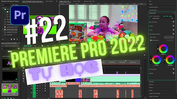 BÀI 22: Cách sử dụng Freeform view để sắp xếp, quản lý và cắt clips | Học cách edit video từ A-Z