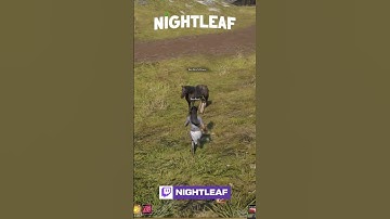 How to get GREEN GEAR easily at LEVEL ONE in Ashes of Creation Alpha!