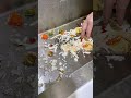 This sink drain basket is so useful. It can filter leftovers and vegetables, and can also store