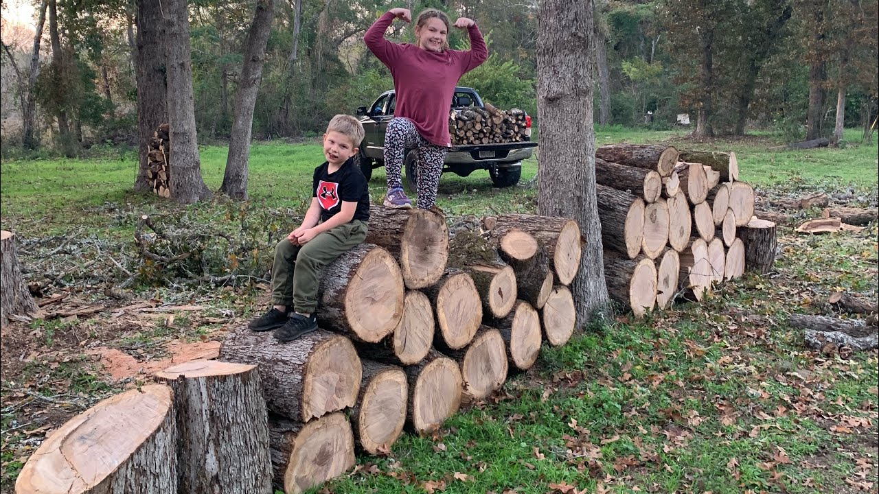 Lumberjack cutting down massive Post Oak tree that almost took his life