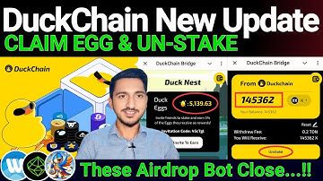 Duckchain Airdrop Claim Eggs Rewards & How to Un-Stake Fund | Waves Wallet/ Birds and Seed Update