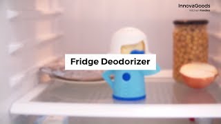 InnovaGoods Kitchen Foodies Fridge Deodorizer