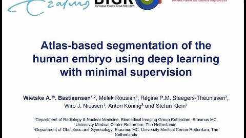 Atlas-Based Segmentation of the Human Embryo Using Deep Learning with Minimal Supervision