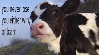 you never lose. you either win, or learn