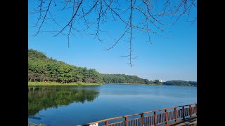 도심차박지 리뷰 은파호수공원 #전북 #군산 #차박 #차박지 #도심차박 #차에서산다