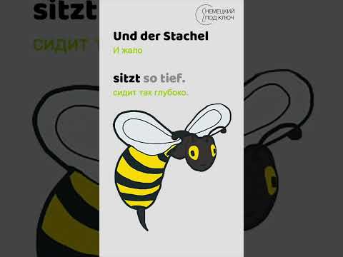 Немецкий по песням / "Giftigt" von Rammstein / Учите немецкий язык с удовольствием!