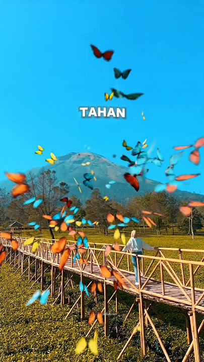 Tak Tahan Lagi #foryou #slowmow #viraltiktok #mellyguslow