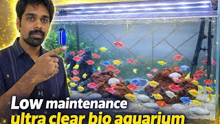 Dream Aquarium at Home 😍 | Low Maintenance Setup Anyone Can Do #home #interiordesign