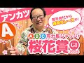 【桜花賞 予想】ぶっつけ本番の有力馬は大丈夫？大阪杯も高松宮記念も的中アンカツの出走馬ジャッジ【安藤勝己】