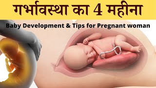 4th Month of Pregnancy Baby Development in Womb प्रेग्नेंसी का चौथा महीना शिशु का विकास