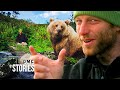 The Man Who Lives With Wild Bears Alone Among The Grizzlies The Man Who Lives With Wild Bears Alone Among The Grizzlies