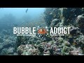 Stunning SCUBA DIVING in Indonesia~ Our Underwater Paradise Video