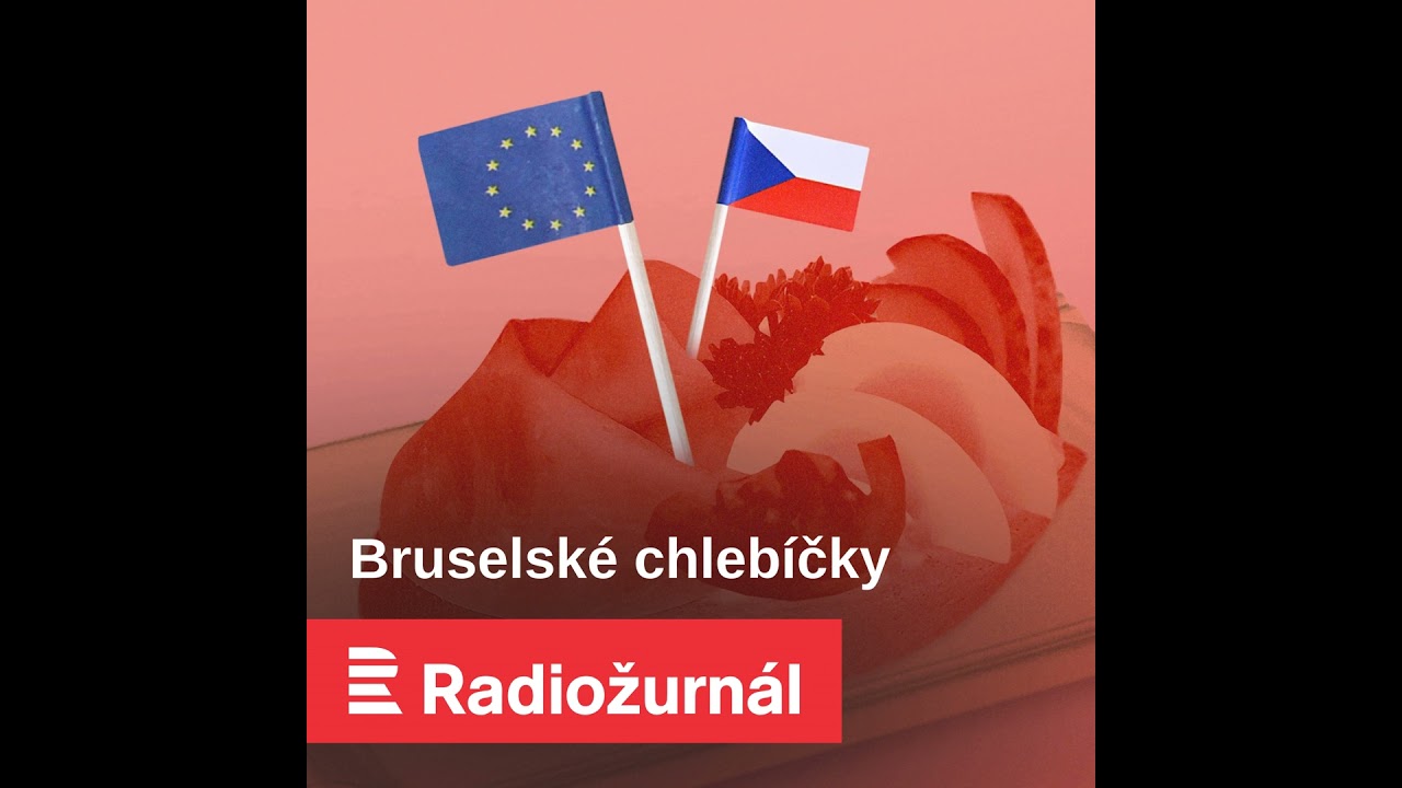 Petříček: EU není posvátná kráva. Bez ní ale Česku líp nebude