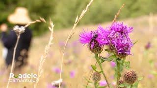 Leacuri naturiste, din mâini rugătoare, de la Mănăstirea Măgura-Jina; Rodia; Valeriana (13 11 2022)