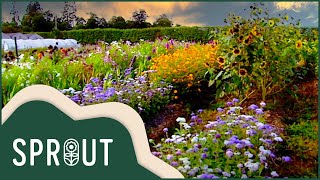Sprout - From Corporate to Flower Fields | Full Episode