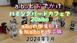 aiboのふるさと幸田で遊ぼう！aiboとおでかけ2024年1月の幸田旅