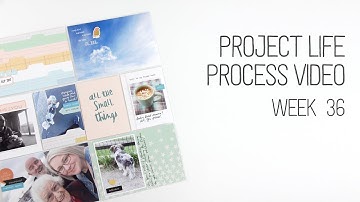 Week 36 Project Life Process