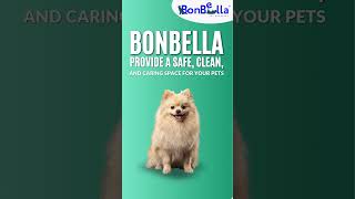 Best Pet Boarding in Thane 🐶 | Cage-Free &amp; Safe! | BonBella