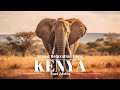 Kenya 4K - Scenic Relaxation Films With African Music