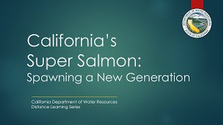 California’s Super Salmon: Spawning a New Generation