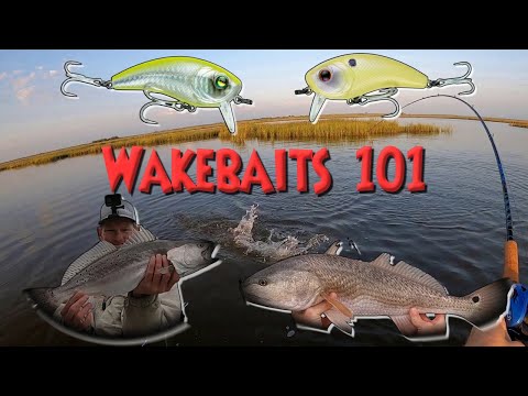 Wake Baits 101 How To Rig & Catch Redfish And Speckled Trout On Them Charter Guide