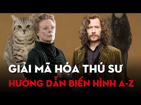 Video GIẢI MÃ HÓA THÚ SƯ TRONG HARRY POTTER | Bí kíp cho... - youtube