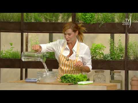 Leftovers next, everyone to the table! (TV2000) - What to do with slightly wilted vegetables?