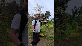 Bir Bahçe Nasıl Cillop Gibi Olur? Orakla İlk Günümüz