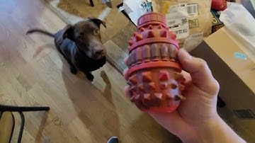 Dog Toy for Aggressive Chewer Medium Large