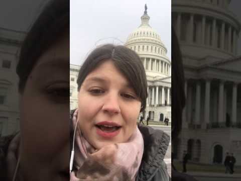 How to Become a Lobbyist? How organize lobbying campaign?