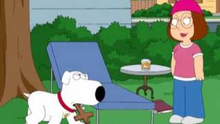Not All Dogs Go To Heaven Not All Dogs Go To Heaven