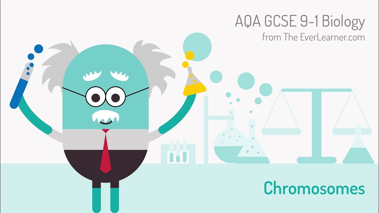 AQA GCSE 9-1 Biology:  Chromosomes