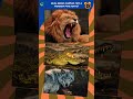 Qual desses animais tem a mordida mais forte#quiz