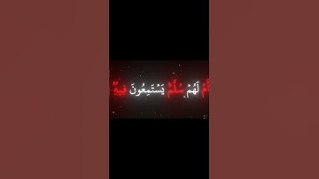 سوره الطور /ام خلقوا من غير شيء /محمد اللحيدان #القران #المصحف 🌹🌿🌳