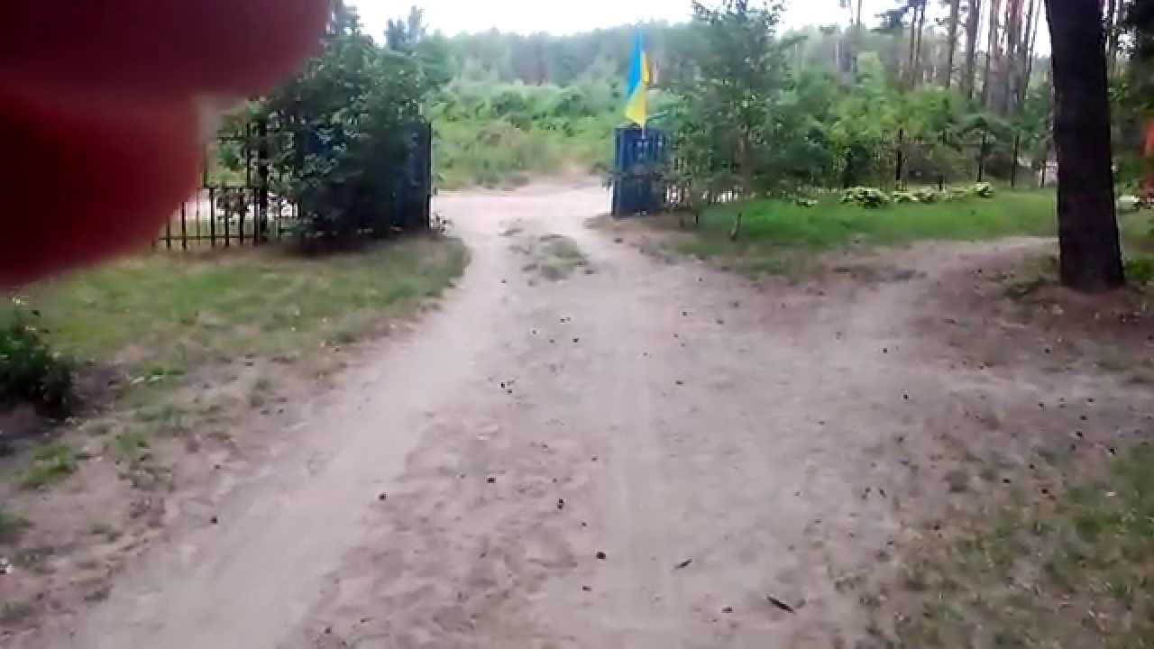 Куцеволовка база отдыха Ромашка